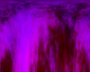 purpleNebula.png